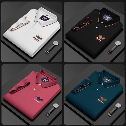 Premium Polo T-shirt ( Pack of 4 ) - Manav Fashion